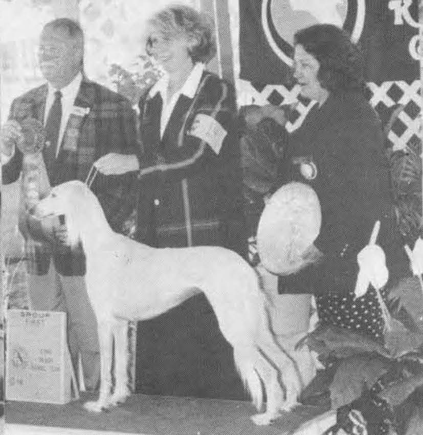 Shoreline Dog Fanciers and Long Beach Kennel Club, 1998